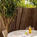 Apartament Grace Haven *
