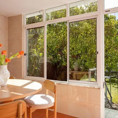 Apartment Grace Haven